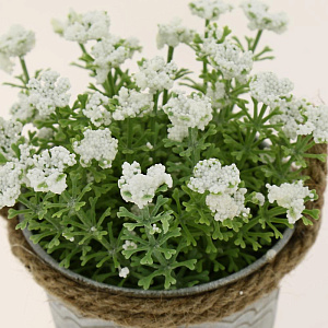 Цветок искусственный "Полевой"  13смR010458 000000000001189322