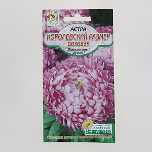 Семена Астра Королевский размер Розовая 0,2гр (ссс) ЛИДЕР ПРОДАЖ! СС013937 пакет 000000000001194688