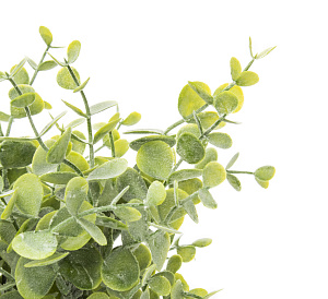 Цветок искуственный Эвкалипт в горшке 27см пластик 000000000001217047