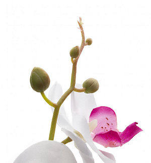 Цветок искусственный "Орхидея" 23см R010818 000000000001196700