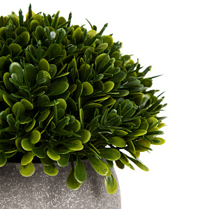 Цветок искусственный растение Декоративное 13см в горшке 000000000001218483