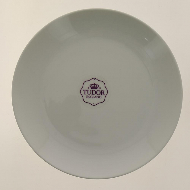 Тарелка десертная 20см TUDOR ENGLAND Royal White белый фарфор TU2204-2 000000000001181752