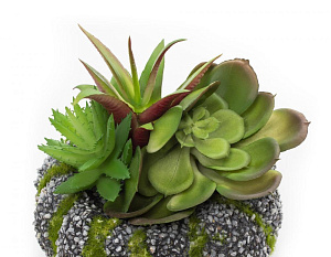 Цветок искусственный "Суккулент"11смR010443 000000000001189308