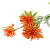 Цветок искусственный "Хризантема игольчатая" 72см R010713 000000000001196642