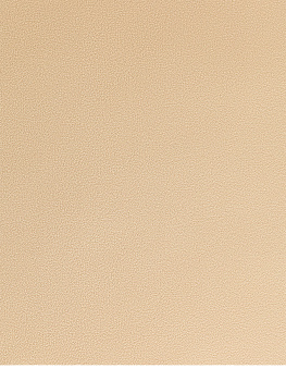 Салфетка сервировочная 45x30см LUCKY LUCKY прямоугольник золото искусственная кожа ПВХ 000000000001214129