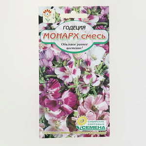Семена Годеция Монарх, смесь махровая 0,2гр. (ссс) ЛИДЕР ПРОДАЖ ! СС009319 пакет 000000000001194780