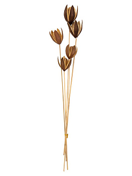 Сухоцветы 16x7x70см DE'NASTIA Лилия микс цветов 000000000001228193