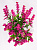Цветок искусственный "Прованские травы" 14см R010809 000000000001199223