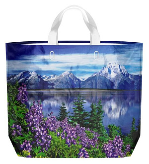 Сумка Эко 60х50см 160мкм ИНТЕРПАК Пейзаж полиэтилен 000000000001215299