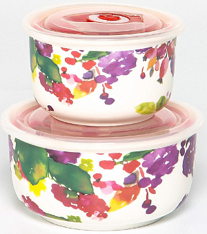 Набор салатников 2шт 280мл/540мл BALSFORD Аромат пластиковая крышка подарочная упаковка фарфор 000000000001205658