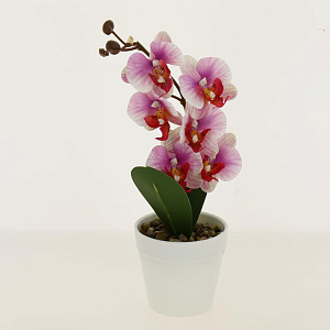 Цветок искусственный Орхидея 30см R010639 000000000001192380