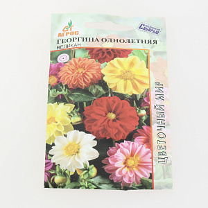 Георгина однолетняя Великан 0.5г *   Нидерланды 000000000001100452