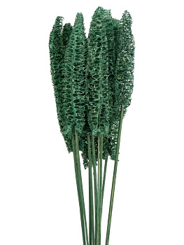 Сухоцветы 13x13x60см DE'NASTIA Люффа микс цветов 000000000001228194