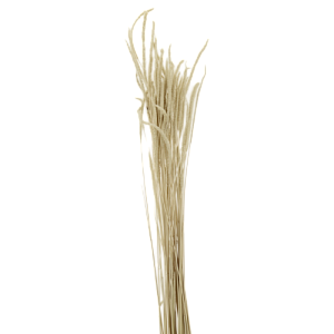 Цветок искусственный "Трава" сухоцвет 60гр 75см R011048 000000000001199238