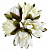 Цветок искусственный "Кувшинка" 5цветов 22см R010766 000000000001196724