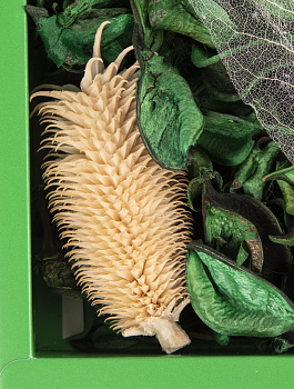 Отдушка цветочная 23см 000000000001216405