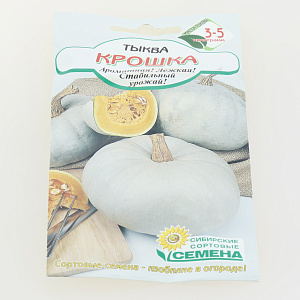 Семена Тыква Крошка 5шт Р (ссс) ЛИДЕР ПРОДАЖ! СС015046 пакет 000000000001195355