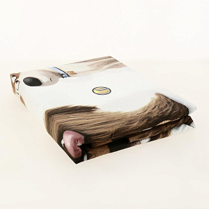 КПБ 1.5 поплин "Тайная жизнь домашних животных 2" (70х70) рисунок 16173-1/16174-1 Домашние питомцы 000000000001195388