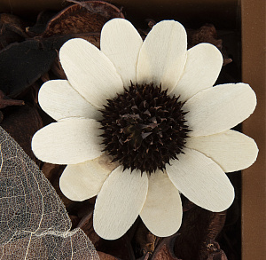 Отдушка цветочная 23см 000000000001216405