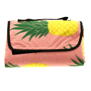 Коврик для пикника 120х150см  ИУАнанас полиэстер R020213 000000000001175921