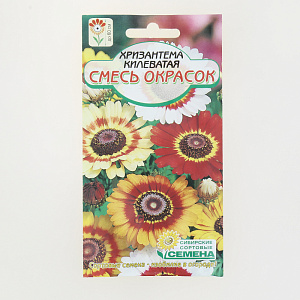 Семена Хризантема Смесь окрасок 0,3гр (ссс) ЛИДЕР ПРОДАЖ! СС012144 пакет 000000000001194821