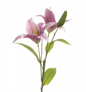 Цветок искусственный 57см ветка Лилия пластик 000000000001209151