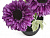 Цветок искусственный Хризантема садовая 18см R010644 000000000001192385