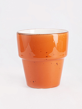 Стакан 280мл TULU PORSELEN Active Pumpkin фарфор 000000000001212365