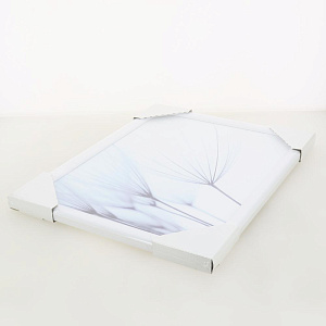 Репродукция 30х40см Декарт (1) мдф в40 8Л2346 000000000001205355