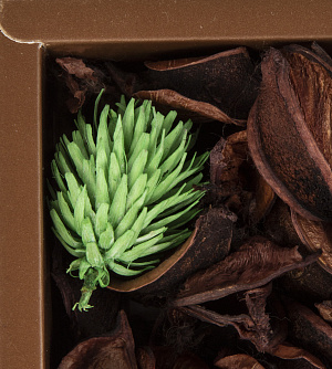 Отдушка цветочная 23см 000000000001216405