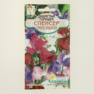 Семена Душистый горошек Спенсер смесь 0,5г (ссс) ЛИДЕР ПРОДАЖ! СС011387 пакет 000000000001194785