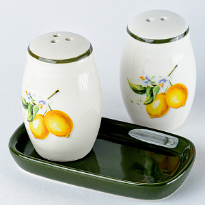 Набор для специй 11,3x6,9x7,8см Лимоны Доломит M56036 000000000001193766