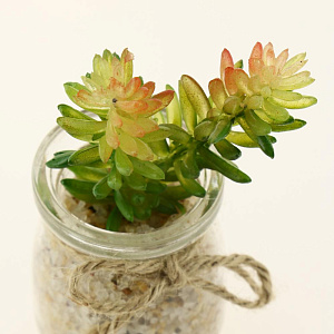 Цветок искусственный "Суккулент"  9-17смR010456 000000000001189320