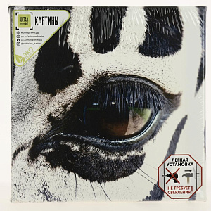 Картина "Глаз зебры" 350*350КК35/35-5/5.1 000000000001166223