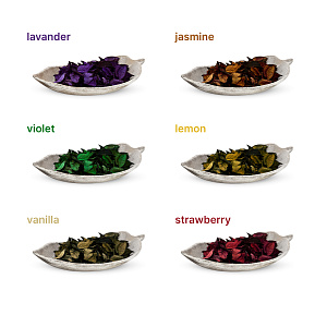 Сухоцвет 100гр FORA в ассортименте 000000000001222590