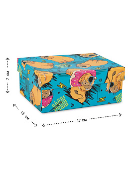 Коробка подарочная 17х13х7см РУТАУПАК КАПИБАРА прямоугольник голубой 000000000001226850