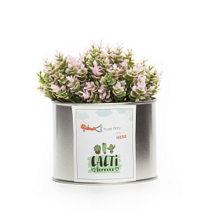 Цветок декоративно-лиственный 12см R010464 000000000001189328