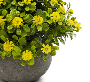 Цветок искусственный "ПолевыеЦветы" 10см R010786 000000000001197550