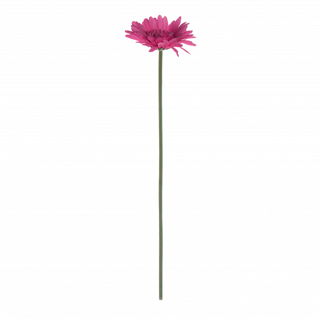 Цветок искусственный Гербера 55см  ярко-розовая 000000000001218361