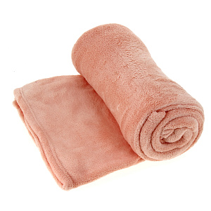 Плед Тэдди De'nastia, 150х200 см, микрофибра 000000000001030122