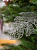Декоративное украшение Рождественский орнамент Лист серебрянный 13,5х30см 3шт MANDARIN полистерол 000000000001209334