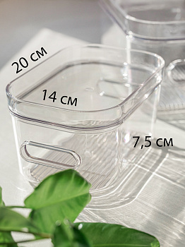 Ящик для хранения 20х14х7,5см универсальный с крышкой ПЭТ 000000000001210797