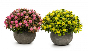 Цветок искусственный "ПолевыеЦветы" 10см R010786 000000000001197550