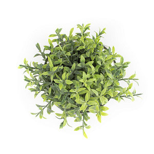 Цветок декоративно-лиственный 12см R010464 000000000001189328