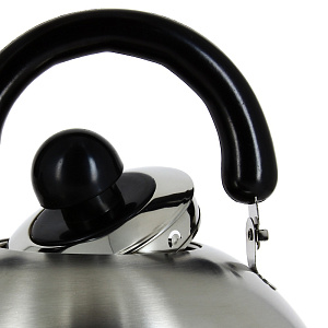 Чайник со свистком Коралл, 4л, нержавеющая сталь 000000000001108171