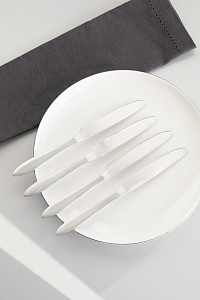 Набор ножей столовых 4шт DE'NASTIA Этерна серебристый сатин нержавеющая сталь 000000000001229643