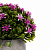Цветок искусственный растение Мелкие цветы 13см розовые в горшке 000000000001218485