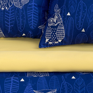 Комплект постельного белья Евро ЭТЕЛЬ Ушастые совы вид3 пододеяльник 200х217см простынь 220х240см наволочки 70х70см-2шт бязь хлопок 000000000001185844