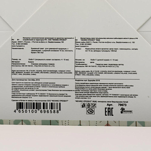 Пакет бумажный Несу любовь для сувенирной продукции 15х9х11см 79673 000000000001185776