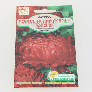 Семена Астра Королевский размер Красная 0,2гр (ссс) ЛИДЕР ПРОДАЖ! СС013936 пакет 000000000001194687